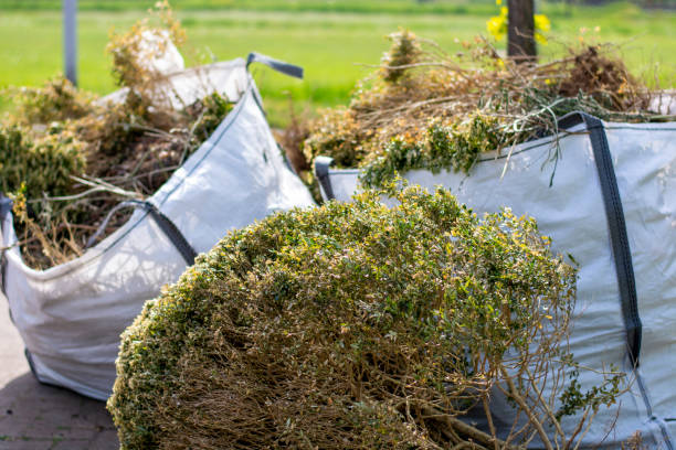 Best Local Junk Hauling  in Pennside, PA